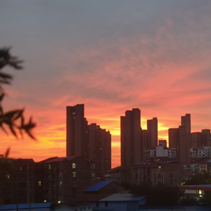 VOL. 024 多年以后,我终于报班学游泳了