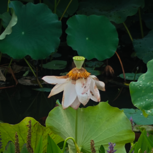 EP02在焦虑时代，活成自己的坐标系