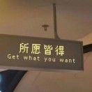 会飞的竹仙