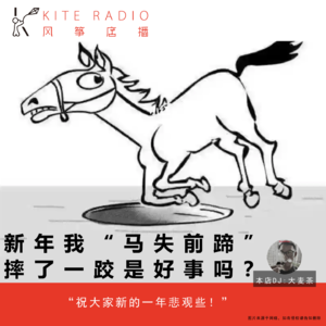 Vol.132| 新年我“马失前蹄”摔了一跤是好事吗？