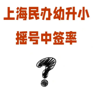 相信孩子有自己的运气，一切发生都有利于他｜上海幼升小“乐透游戏”中一个家长的自我洞察