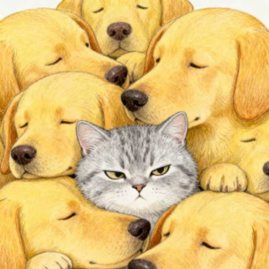 少数派生存策略:你是鲁迅?老舍?还是纪晓岚?