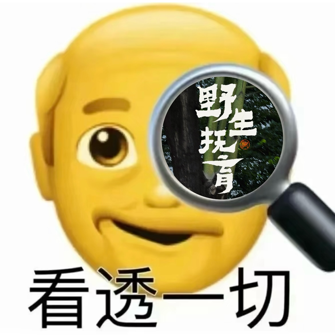 cover of episode 50. 如何锻炼一眼看清本质的能力？让决策更快、内耗更少、方向更准