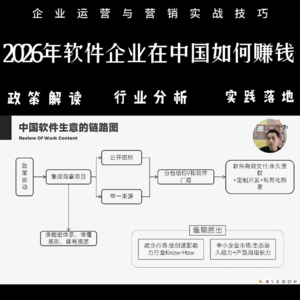 商业分析03：2026年，软件企业在中国到底能不能赚到钱？我的深度复盘与布局策略