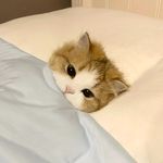 遇到困难睡大觉_620