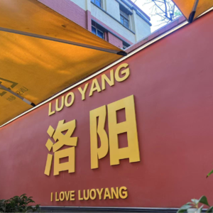 64. 王同学的洛阳衣食住行旅游攻略补记