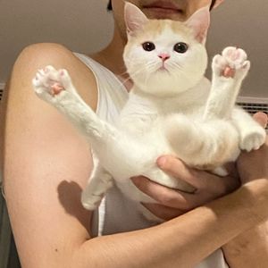 逗泥丸