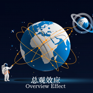10丨总观效应