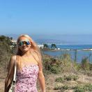 诶这里不能磨爪子