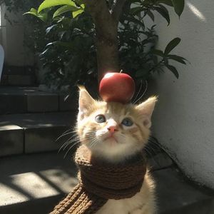 podcaster-avatar