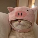 快乐市民小海伦