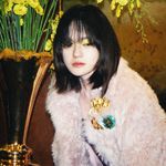 狂野时代的小熊