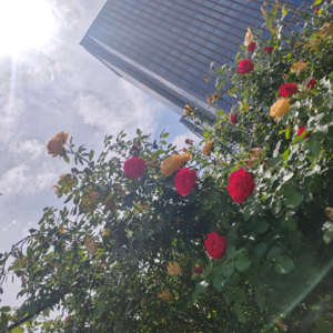 S1E10 另一种幸福人生｜幸福的隐藏模式是什么？