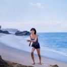 平静的鱼