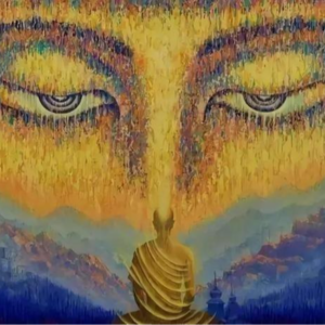 E2 脱发不决，量子佛学！