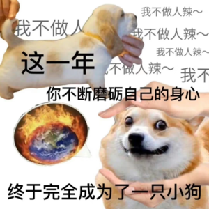 vol.48 2024年终总结：开心请继续，不开心请拜拜！
