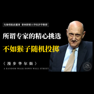 懒人被动理财的实操指南《漫步华尔街》:放弃选股神话,用指数基金买下全市场