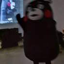 十一_Mo
