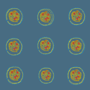 232.为什么⾟苦⼯作后，做家务会有幸福感？