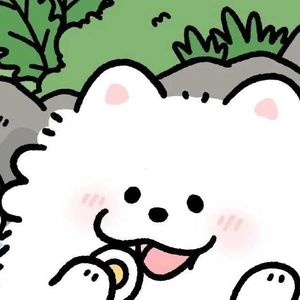 菠萝头不吃啫啫菠萝
