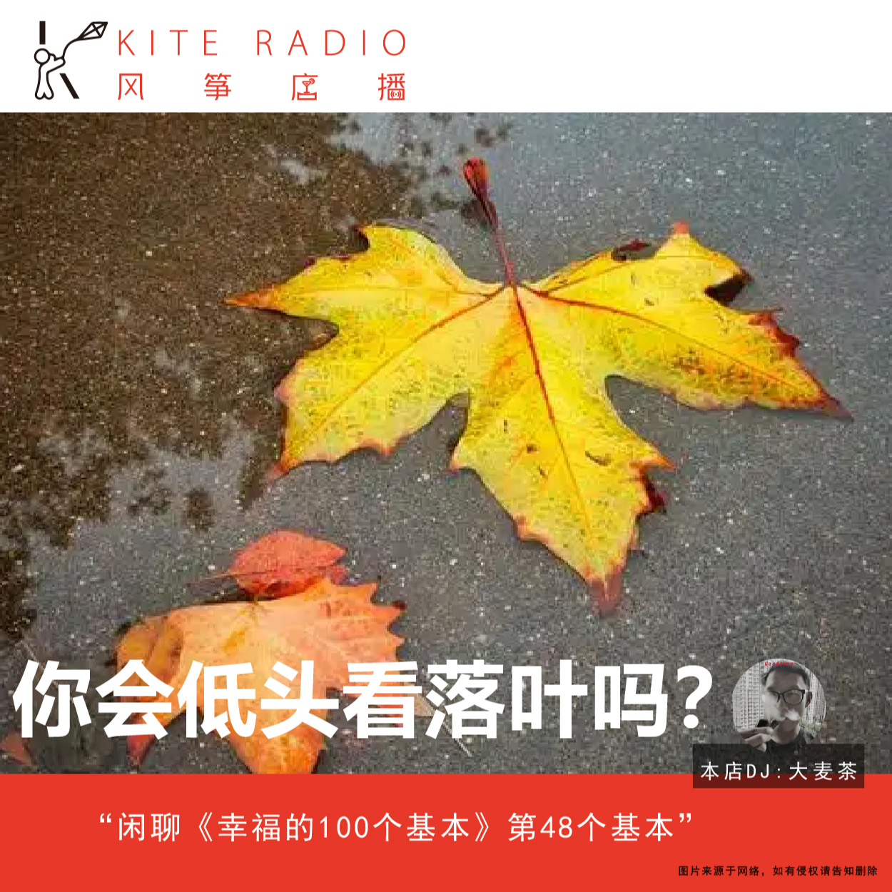 Vol.117| 你会低头看落叶吗？闲聊《幸福的100个基本》第48个基本 episode artwork