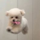 好运不拿拿