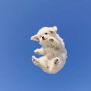 吃太多会被杀掉