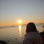 沐晨朝露