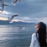 迷迷糊糊的芝麻团
