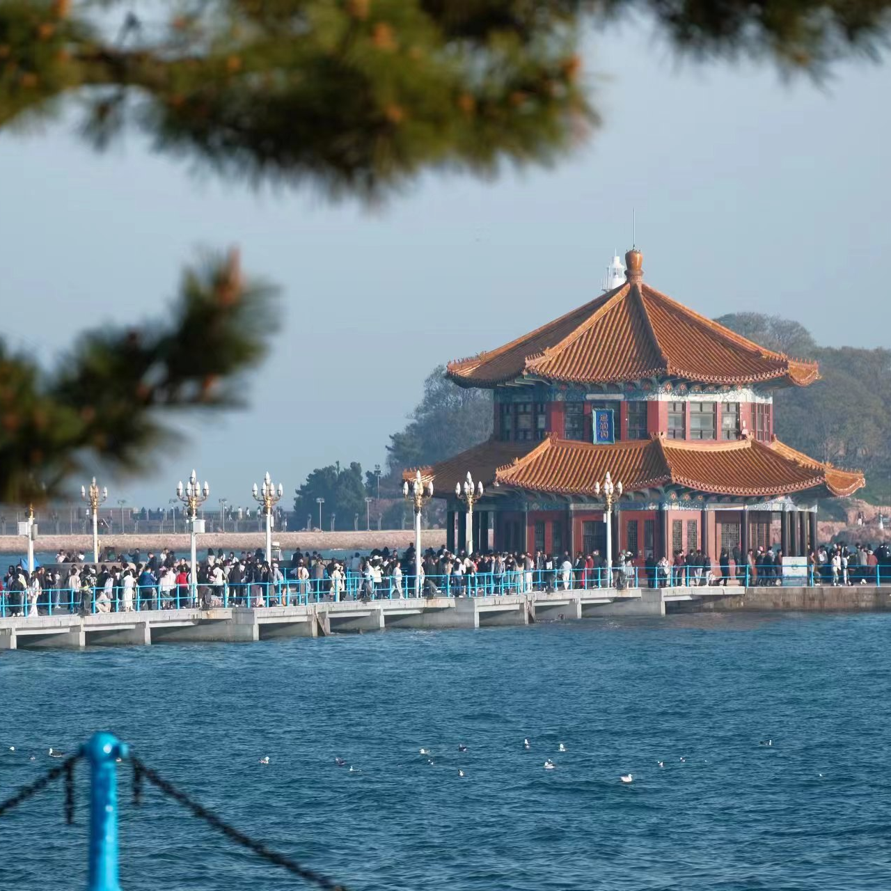 vol.13 青岛，一座活在小红书里的旅行理想之城