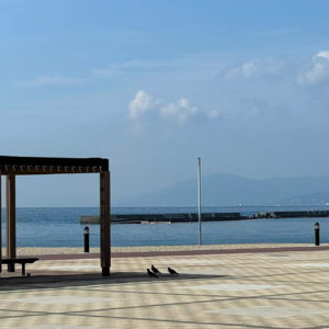 私募产品经理+7：我计划45岁去世，我连方式和后事都安排好了