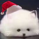 惠子_HxD2