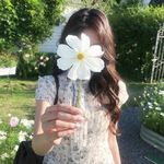 洋芋zzz