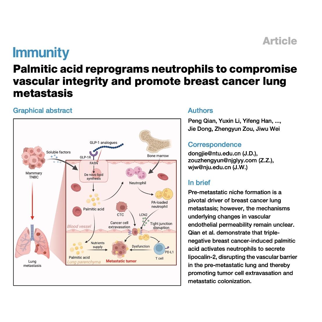 1054-Palmitic Acid in Breast Cancer Lung Metastasis episode artwork