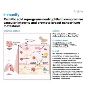 1054-Palmitic Acid in Breast Cancer Lung Metastasis