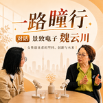 对话|景致电子魏云川：我希望命运掌握在自己手上