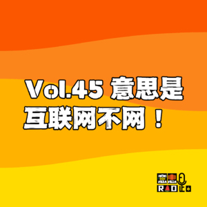 Vol.45 意思是互联网不网!
