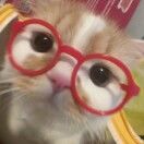 古娜拉掌管柠檬茶的神