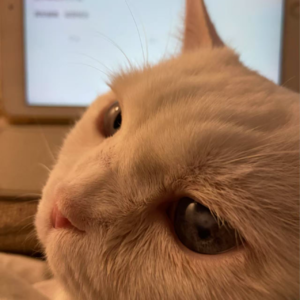 014:全网都在重新养自己?26岁独活女子的真人养成游戏!