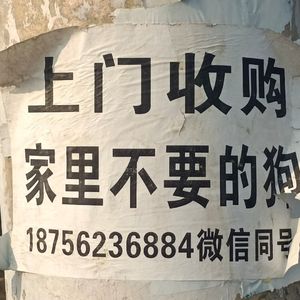 什么样的爱值得勇敢一次