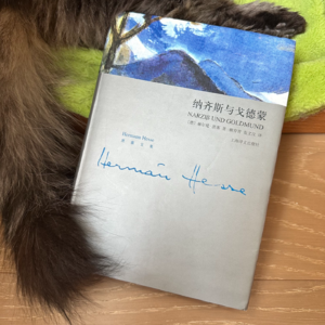 E25《纳齐斯与戈德蒙》（一）：INTJ与ENFP的终极拉扯