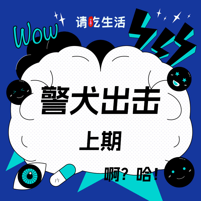 Vol.31 警犬出击（上） episode artwork