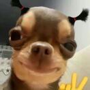 zhouheyy