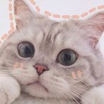 我们相距十万光年