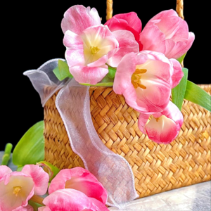 VOL552.电影《推手》∶当中国老头遇上美国儿媳，互为中西文化博弈里的自我与他者。