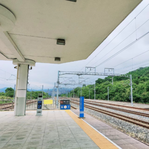 🙄玄学夜话115｜虚假的天秤座饭局，太假了！撕烂！