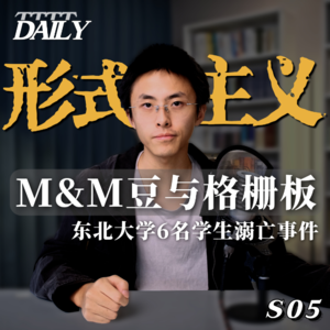 【维思涛涛】形式主义 M&M巧克力豆与格栅板 M&M豆如何阻止一场灾难 平庸之恶