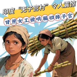 印度“无子宫村”,甘蔗女工每天工作12小时无节假日!是否有子宫成为竞争上岗的条件