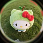 青松果大王