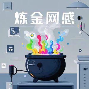 《炼金网感》第一期：桃黑黑玩玩就爆火了，是什么秘诀？